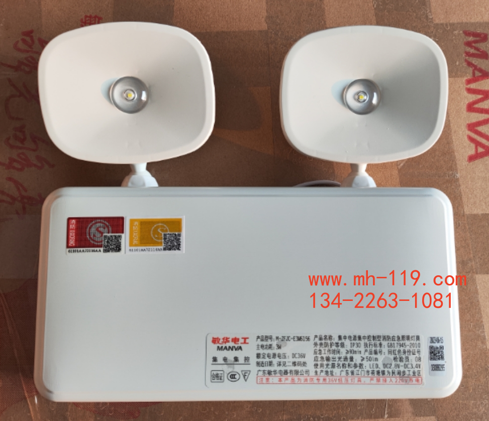 敏華智能型應(yīng)急照明燈具圖片
