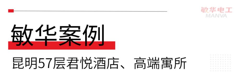 敏華案例